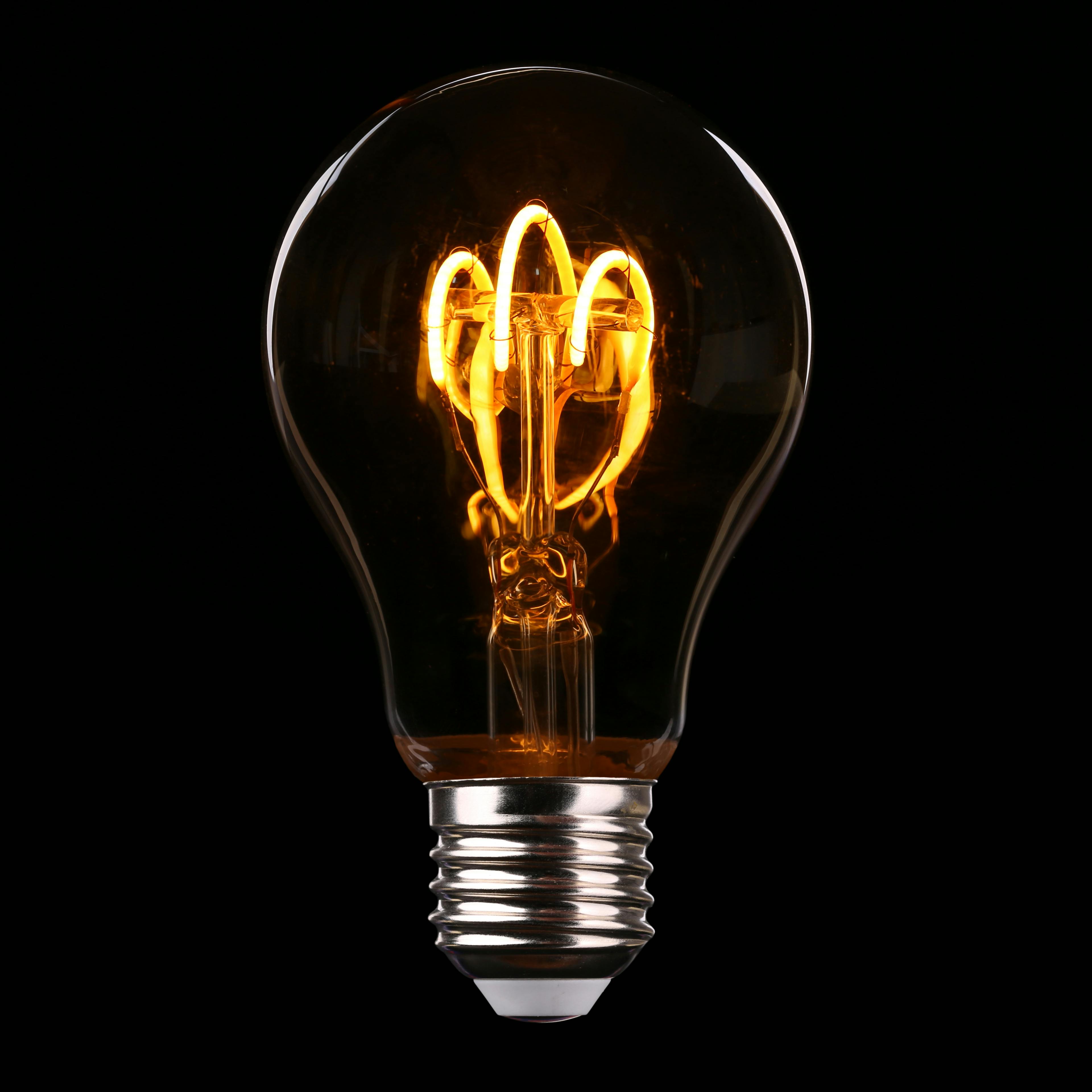 Decorative Lights & Lamps